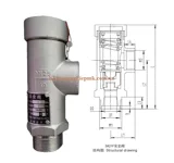 Van an toàn chịu lạnh DN25 - 2.4Mpa